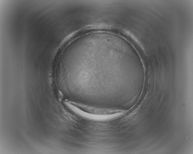 X0000075891213200609291657