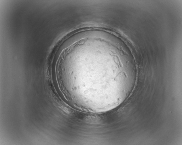 X0000075891215200609291657