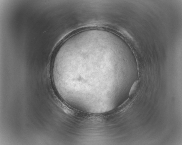 X0000075891216200609291657