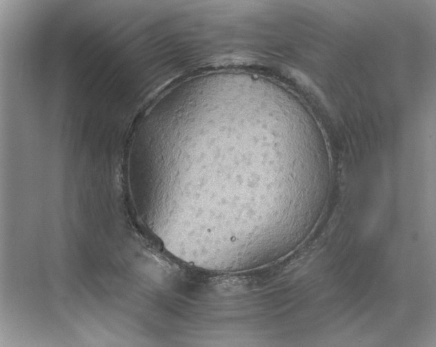 X0000075891217200609291657