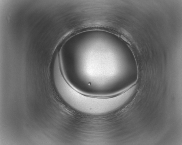 X0000075891218200609291657