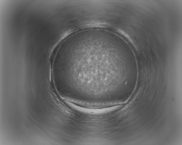 X0000075891219200609291657