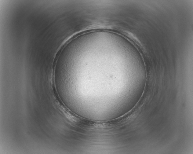 X0000075891220200609291657