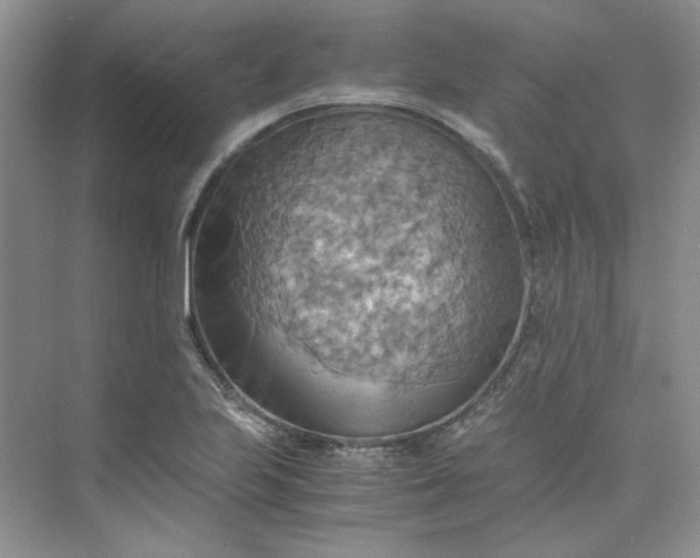 X0000075891223200609291657