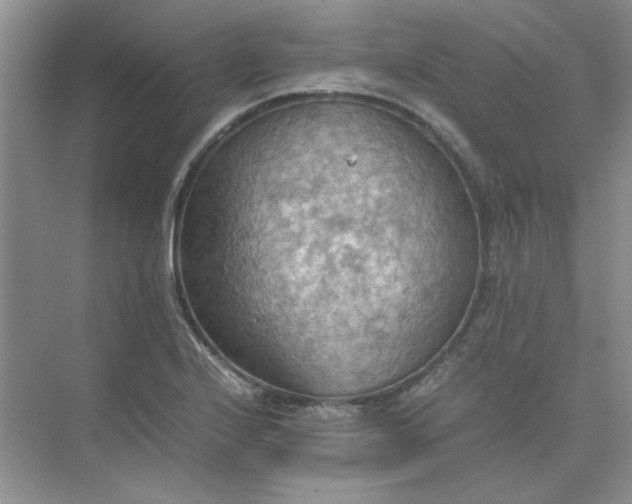 X0000075891224200609291657