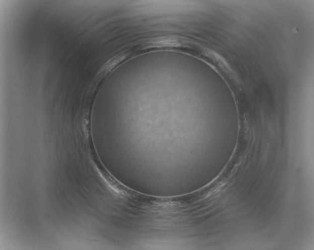 X0000075891225200609291657