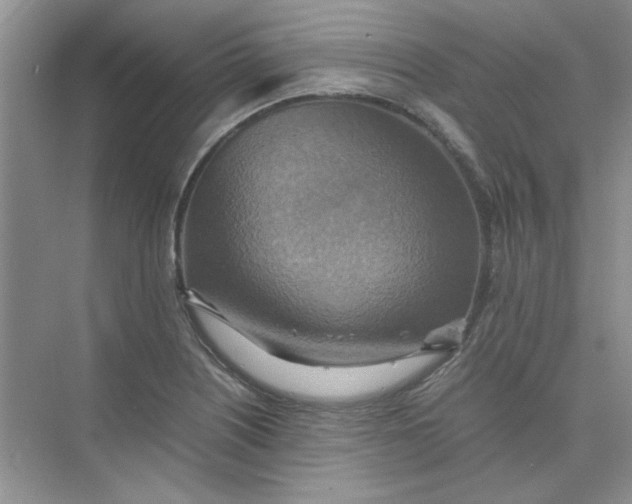 X0000075891226200609291657