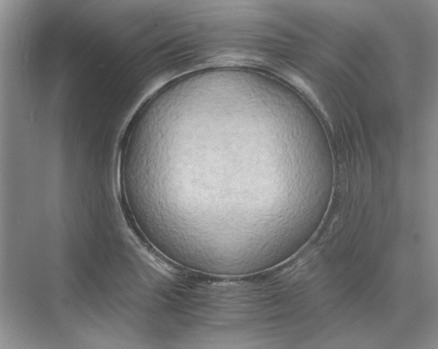 X0000075891227200609291657