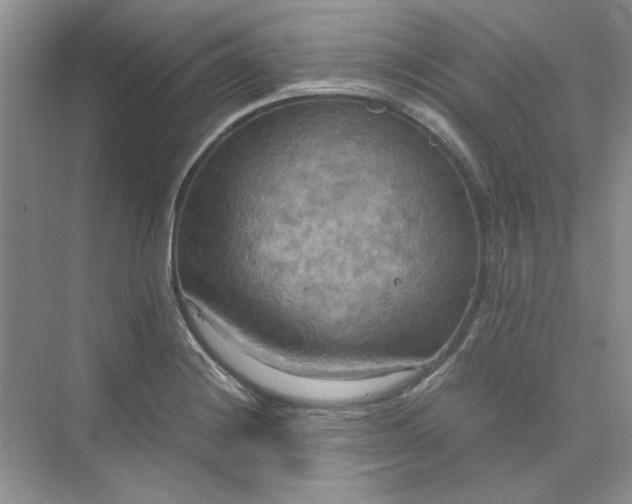 X0000075891228200609291657