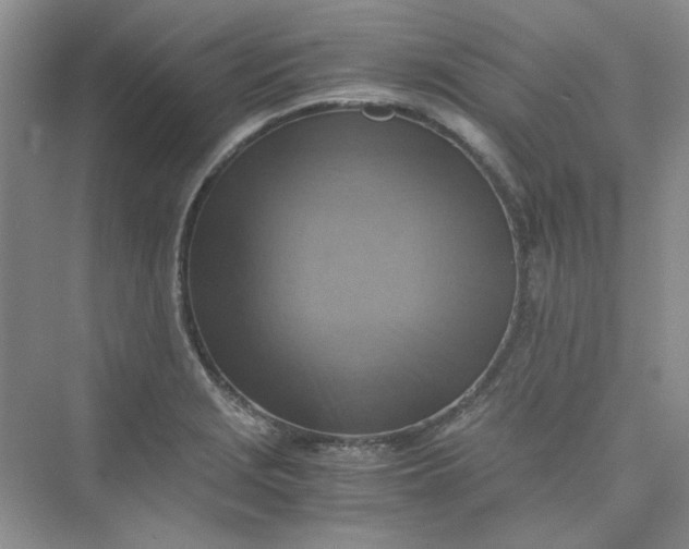 X0000075891229200609291657