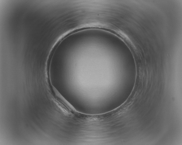 X0000075891230200609291657