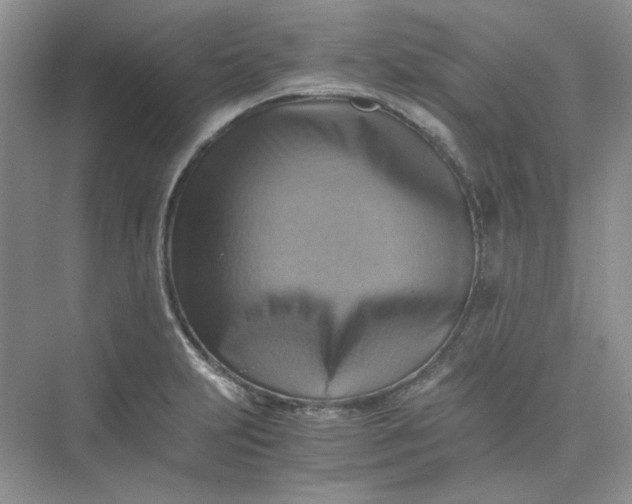 X0000075891231200609291657