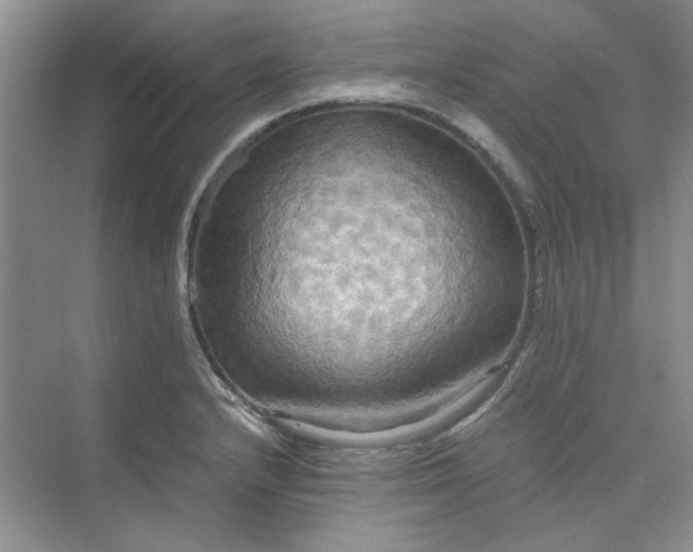 X0000075891232200609291657