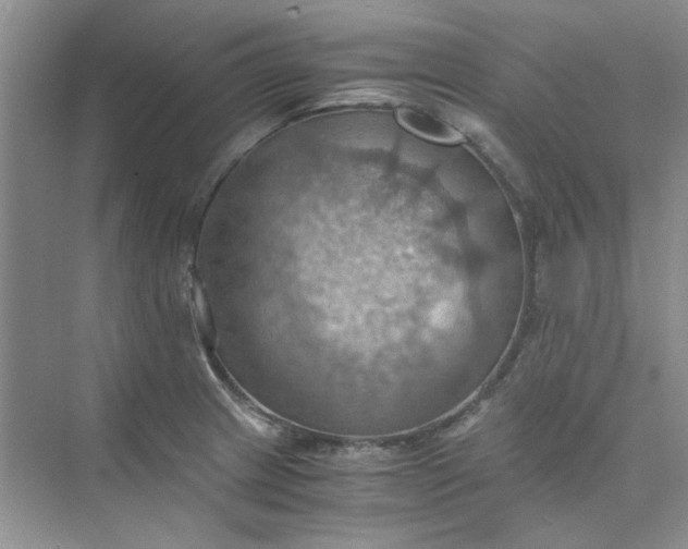 X0000075891233200609291657