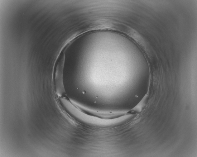 X0000075891234200609291657