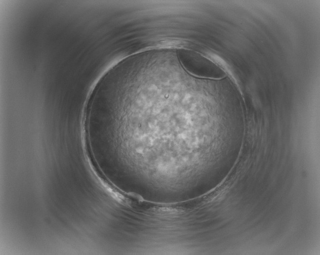 X0000075891235200609291657