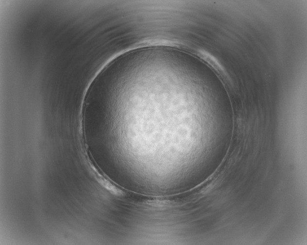 X0000075891236200609291657