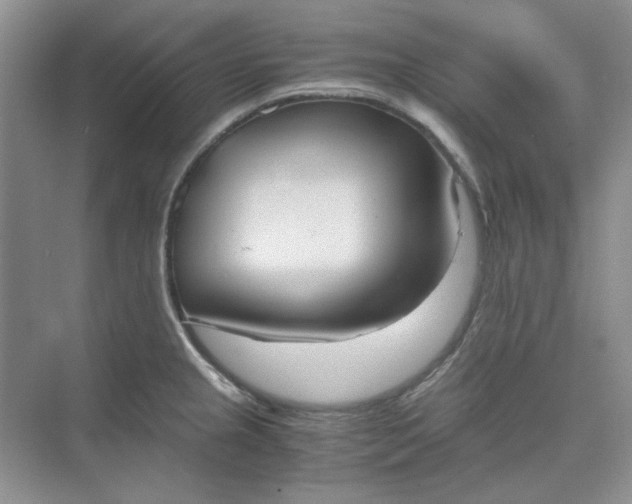 X0000075891237200609291657