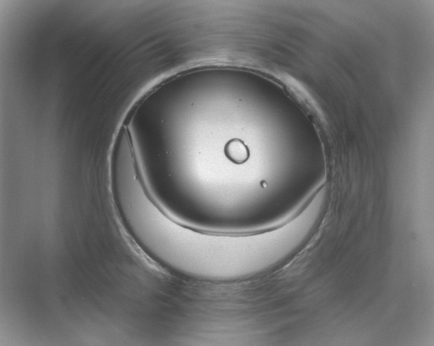 X0000075891238200609291657