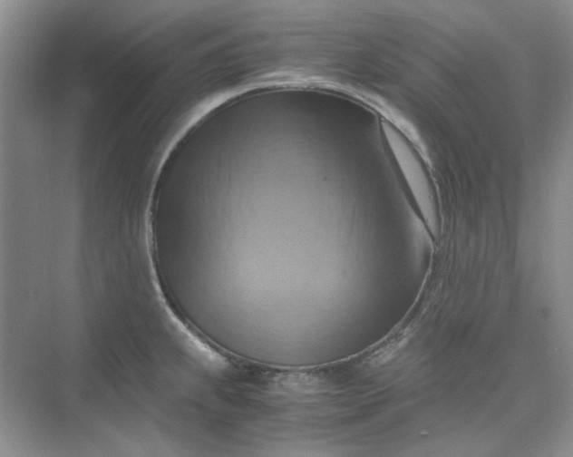 X0000075891239200609291657