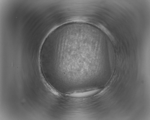 X0000075891240200609291657