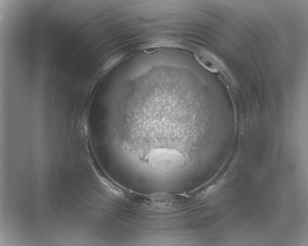 X0000075891241200609291657