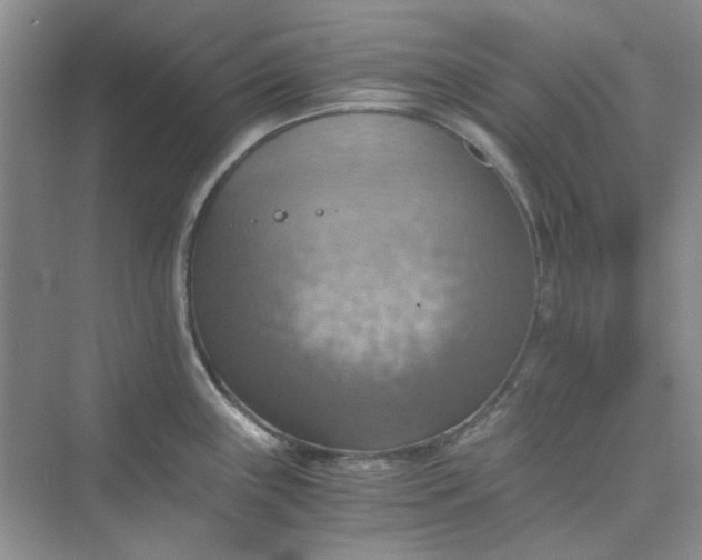 X0000075891243200609291657