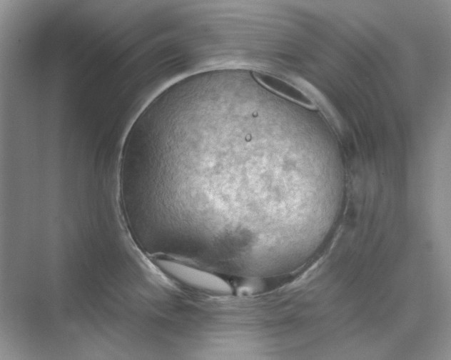 X0000075891244200609291657