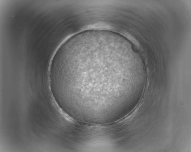 X0000075891248200609291657