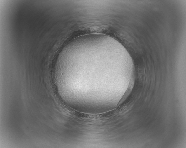 X0000075891249200609291657