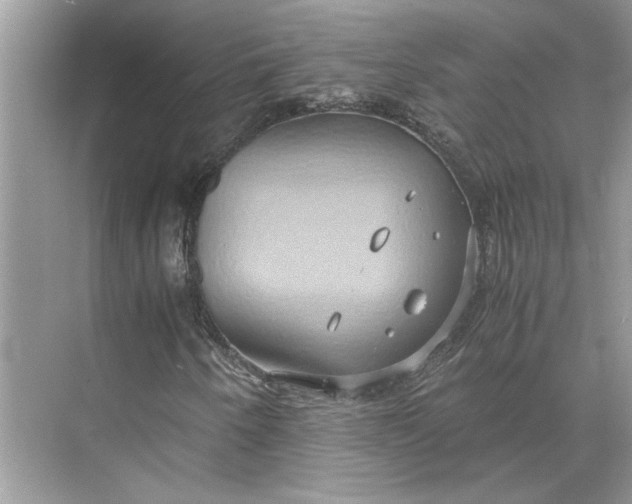 X0000075891250200609291657