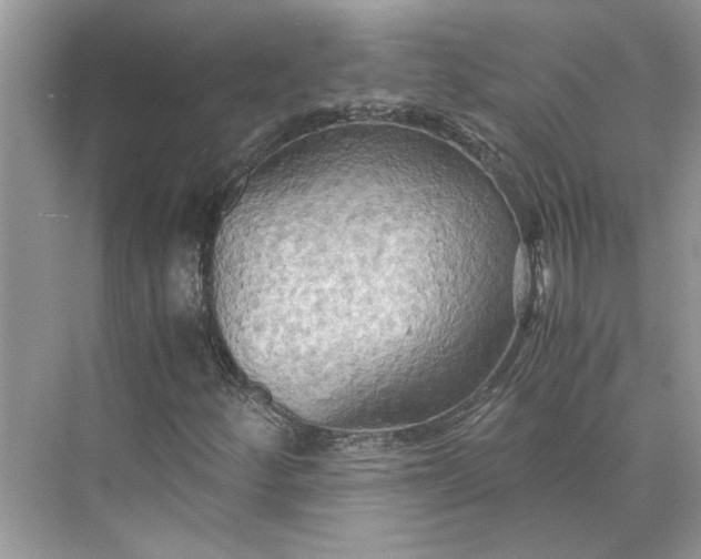 X0000075891252200609291657