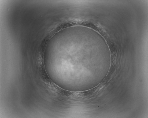 X0000075891253200609291657