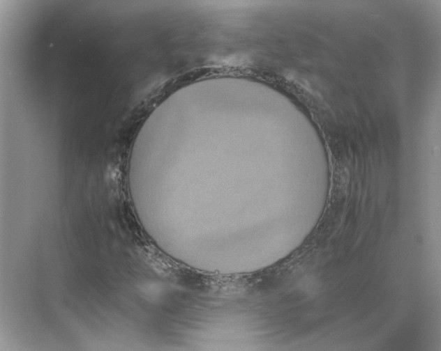 X0000075891254200609291657