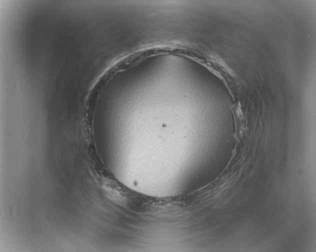 X0000075891256200609291657