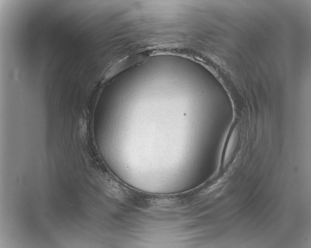 X0000075891257200609291657