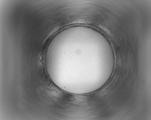 X0000075891258200609291656