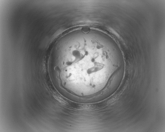 X0000075891259200609291656