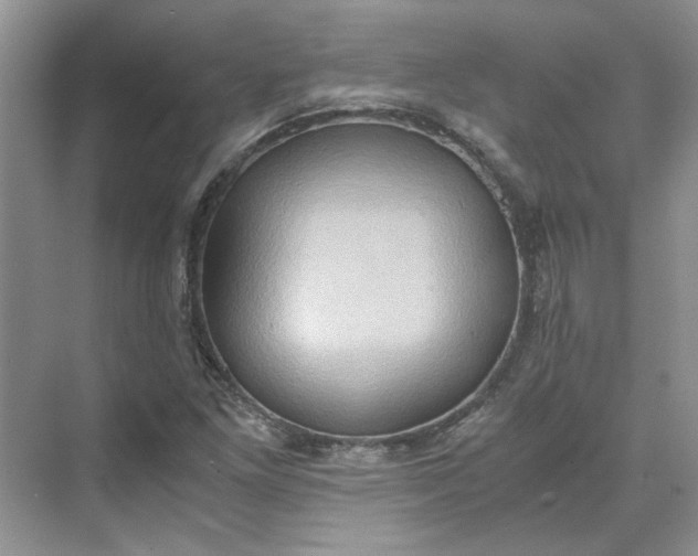 X0000075891261200609291656