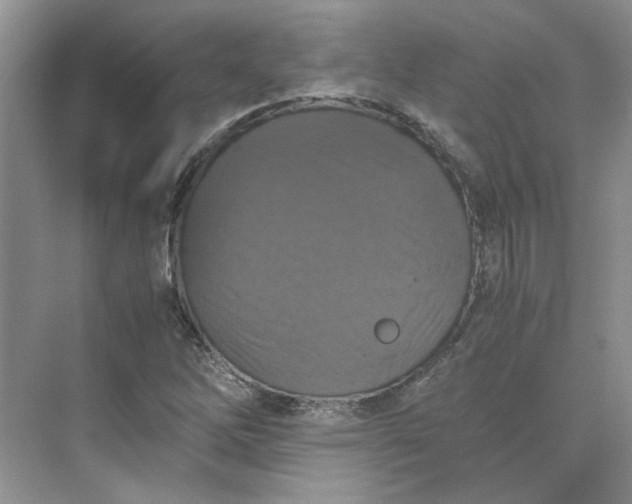 X0000075891262200609291656