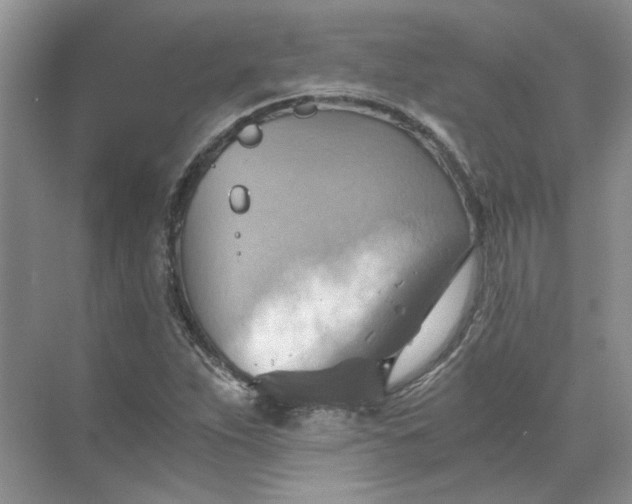 X0000075891263200609291656