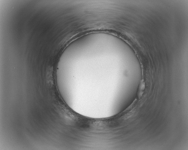 X0000075891265200609291656