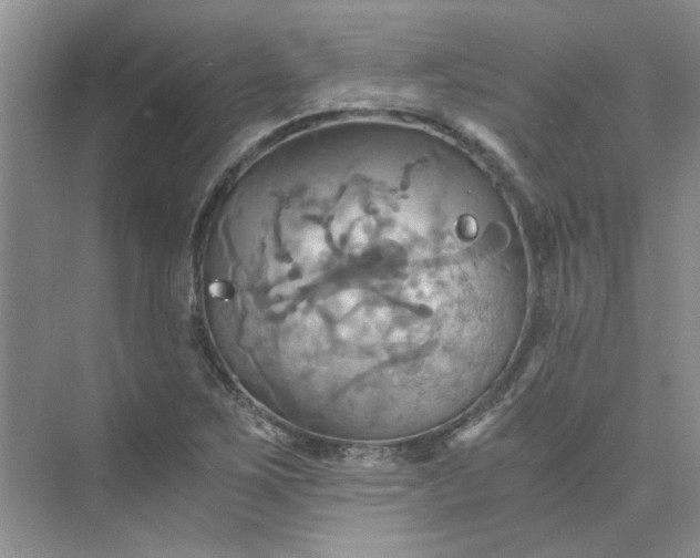 X0000075891267200609291656