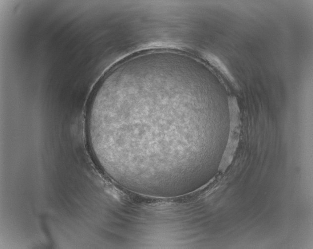 X0000075891268200609291656