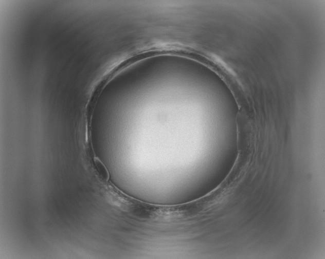 X0000075891269200609291656