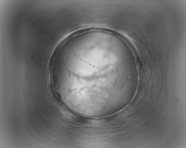 X0000075891271200609291656