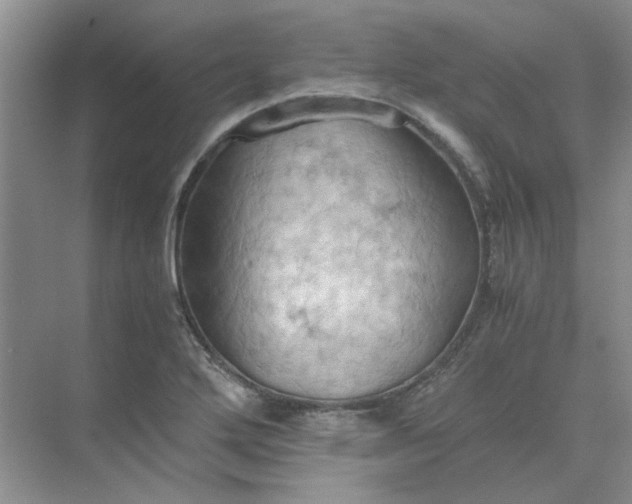 X0000075891272200609291656