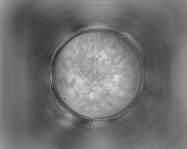 X0000075891274200609291656