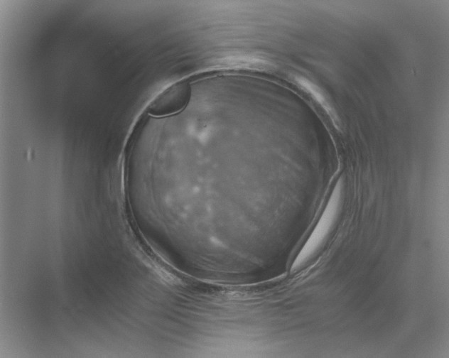 X0000075891275200609291656