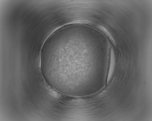 X0000075891276200609291656